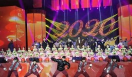 海城春晚爆料视频播放,精彩瞬间抢先看